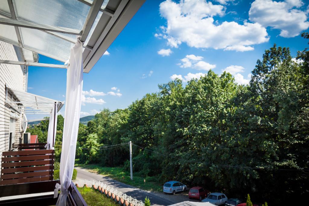 Hotel Danica Vrnjačka Banja Rum bild