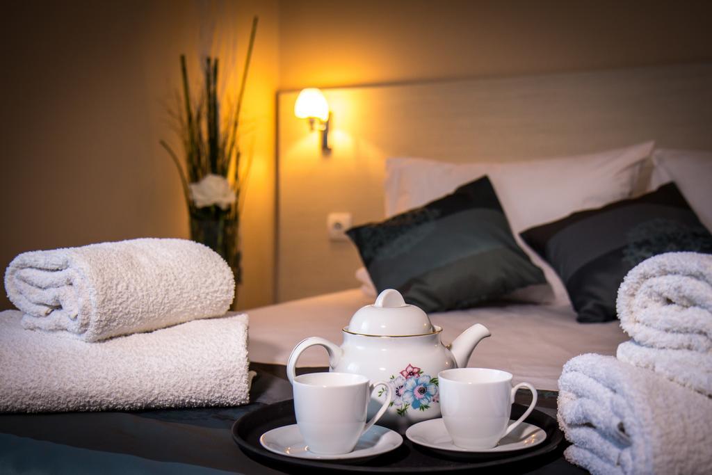 Hotel Danica Vrnjačka Banja Rum bild