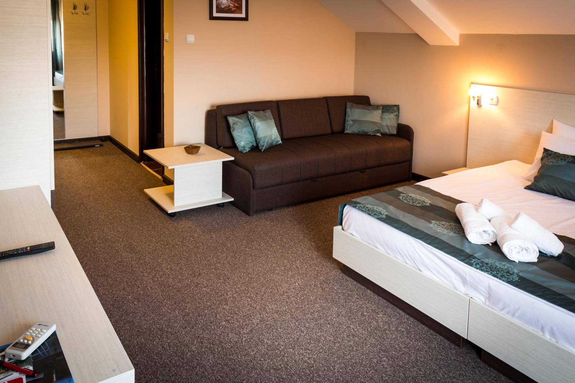 Hotel Danica Vrnjačka Banja Rum bild