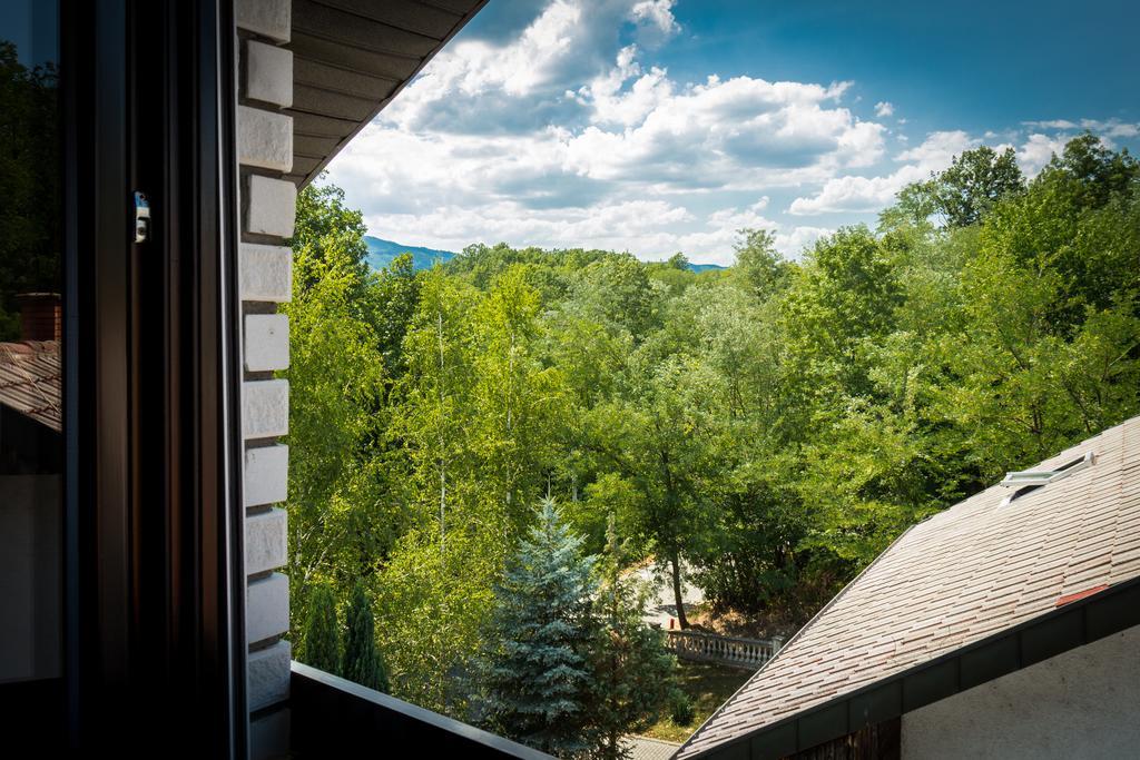 Hotel Danica Vrnjačka Banja Rum bild